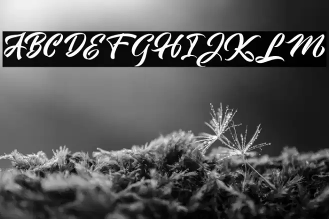 SunnilandFREE Font examples