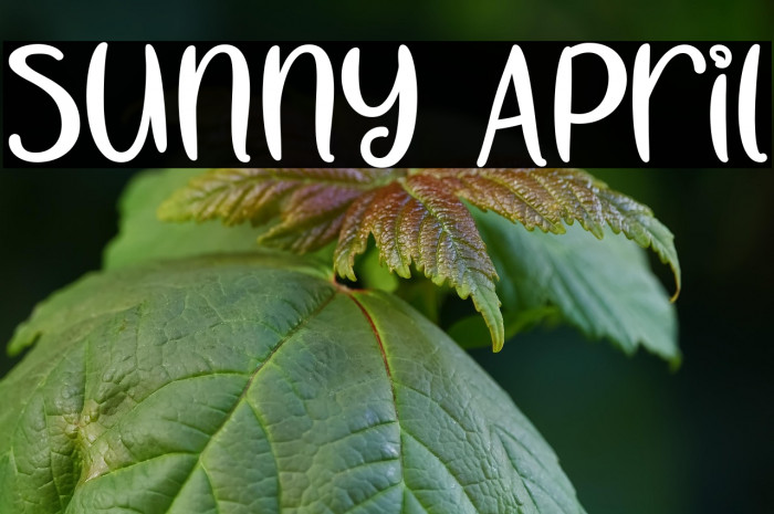 Sunny April Example 2
