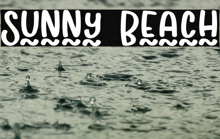 Sunny Beach Example 2