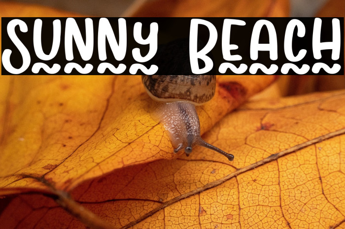 Sunny Beach Example 3