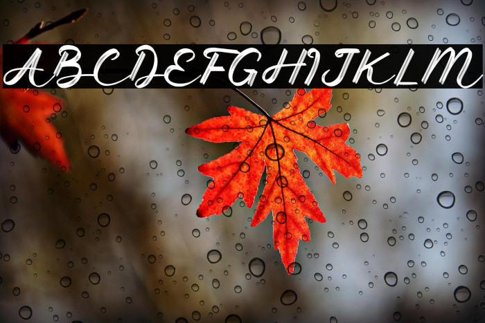 Sunny Brush Example 3