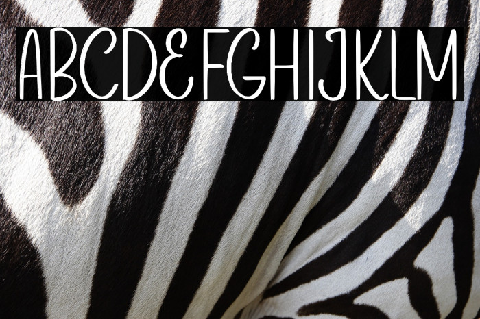 Sunny Bunny Demo Example 2