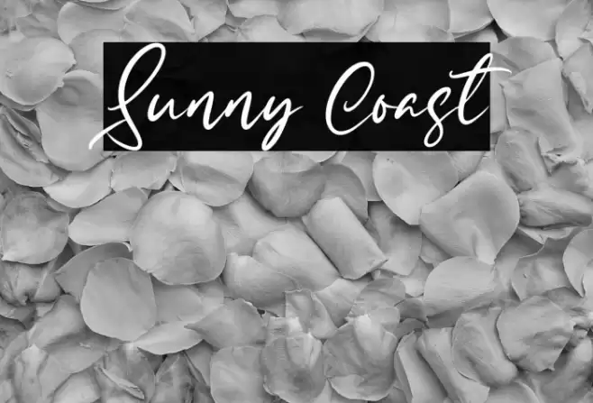 Sunny Coast Font examples