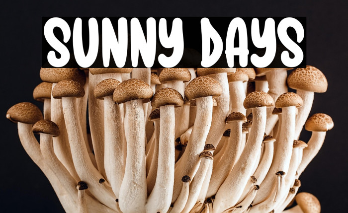 Sunny Days Example 3