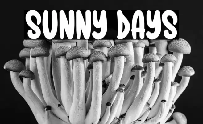 Sunny Days Caratteri examples