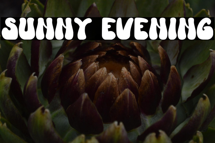 Sunny Evening Example 1