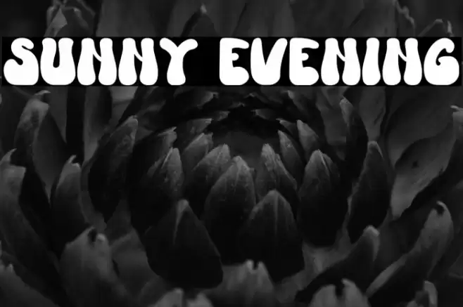 Sunny Evening Font examples
