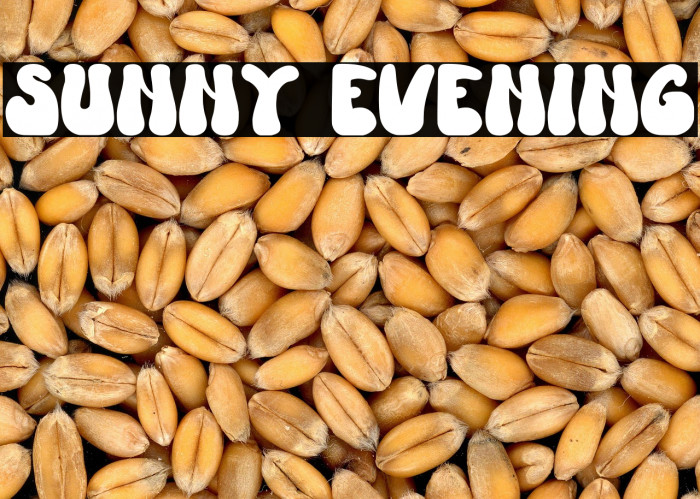 Sunny Evening Example 3