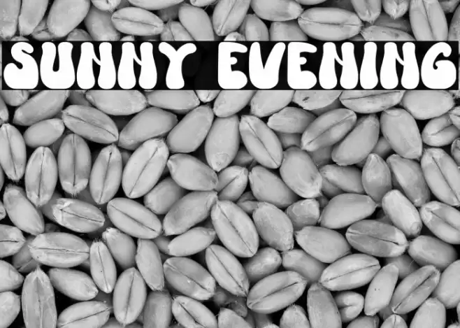 Sunny Evening Font examples
