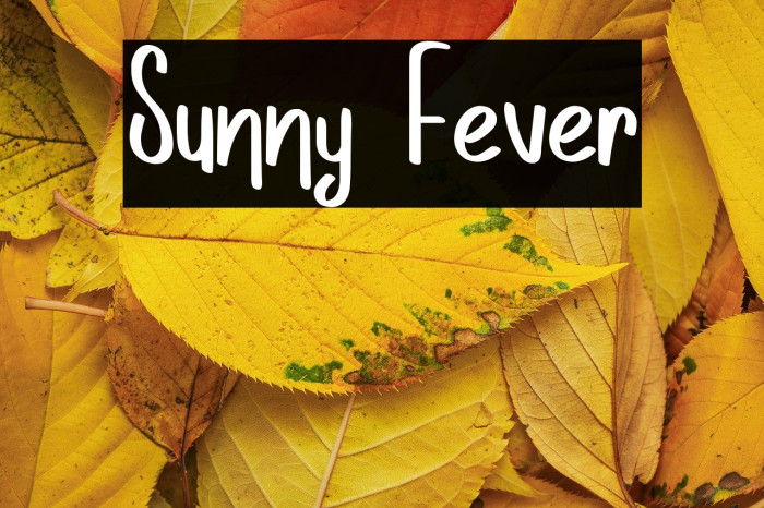 Sunny Fever Example 3