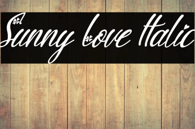 Sunny Love Italic Example 2