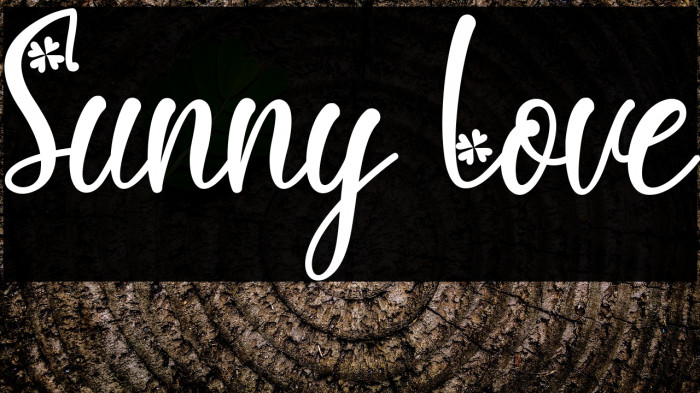 Sunny Love Example 1