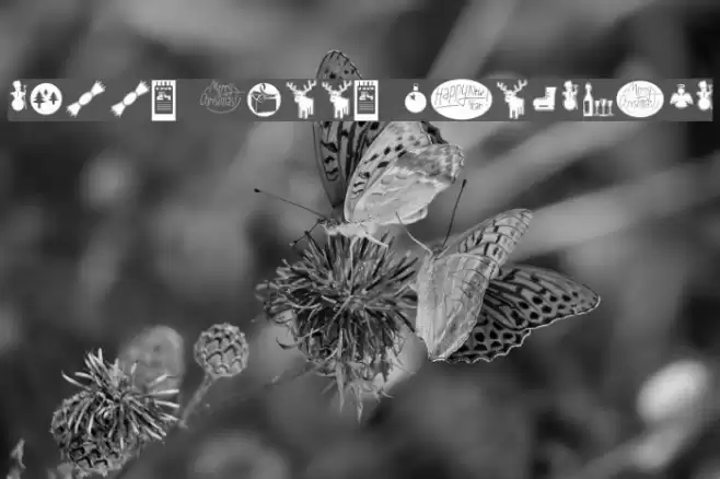 Sunny Merry Christmas Font examples