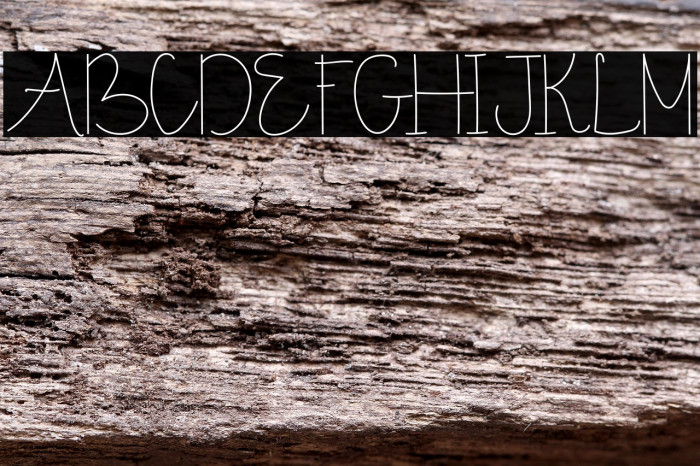 Sunny November Demo Example 1