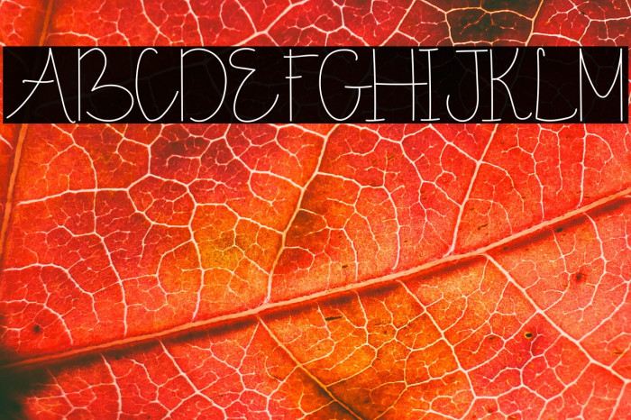 Sunny November Demo Example 2