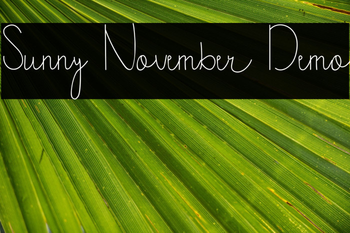 Sunny November Demo Example 1