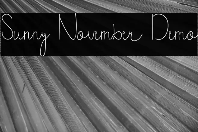 Sunny November Demo Font examples