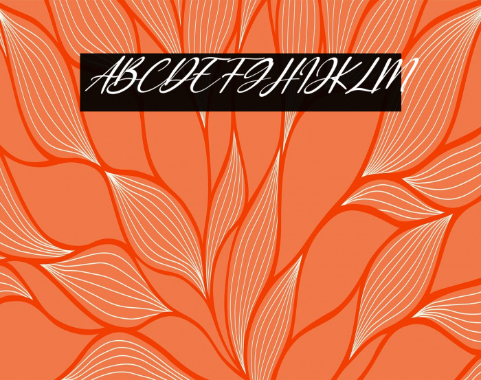 Sunny Rommansa Italic Example 1