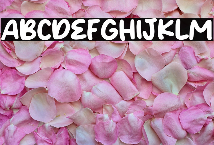 Sunny Script Font examples