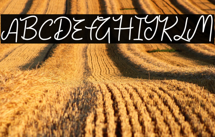 Sunny Skies Example 2