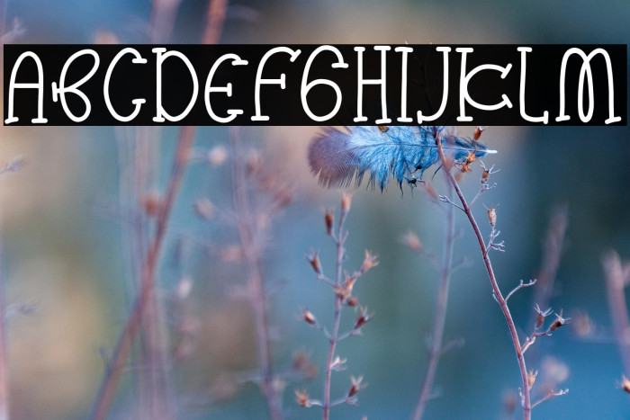 Sunny Smile Example 1