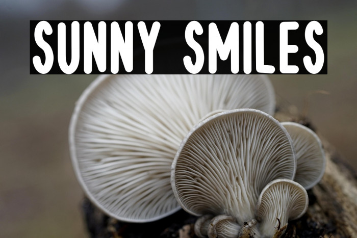 Sunny Smiles फ़ॉन्ट examples