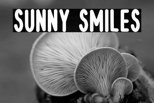 Sunny Smiles 字体 examples