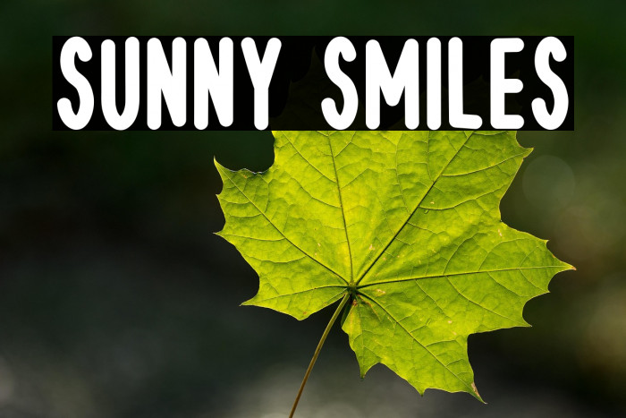 Sunny Smiles फ़ॉन्ट examples