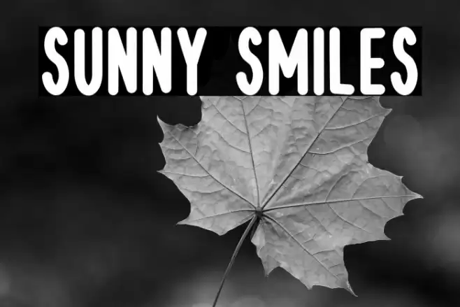 Sunny Smiles 字体 examples