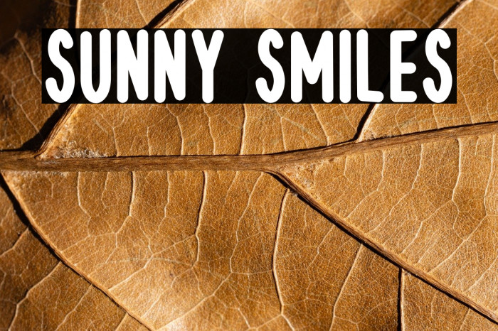 Sunny Smiles फ़ॉन्ट examples