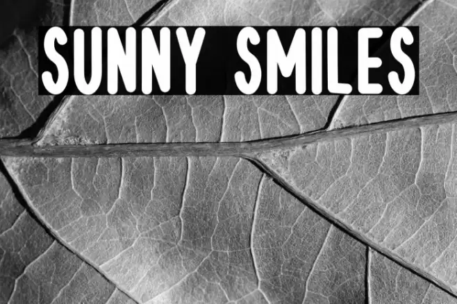 Sunny Smiles 字体 examples