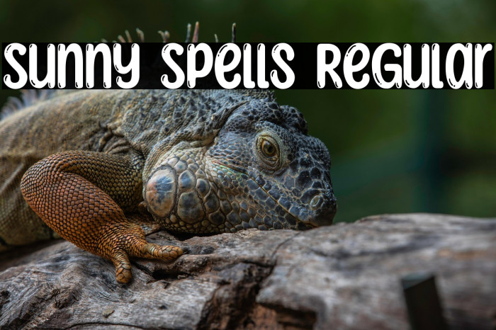 Sunny Spells Regular Example 3
