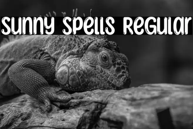 Sunny Spells Regular Font examples