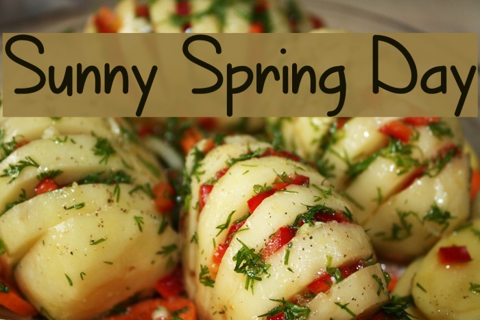 Sunny Spring Day Font examples
