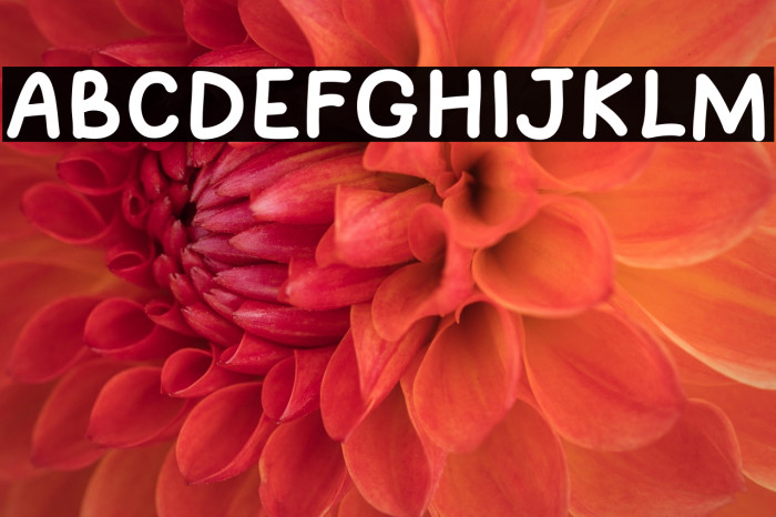 Sunny Sunday Example 1