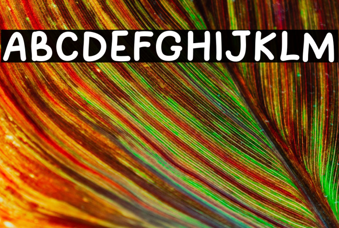 Sunny Sunday Example 3