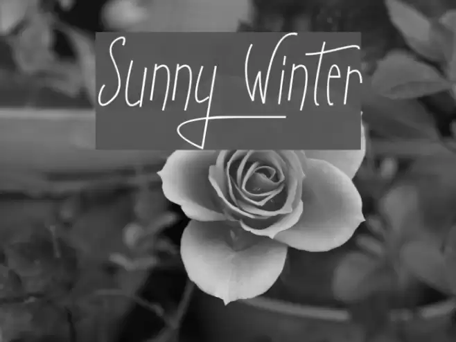 Sunny Winter Font examples