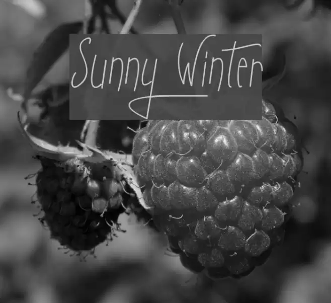 Sunny Winter Font examples