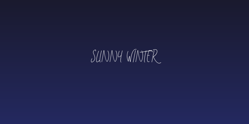 Sunny Winter Social Header