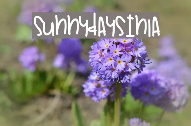 SunnyDaysInLa Example 1