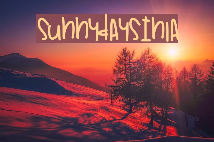 SunnyDaysInLa Font examples