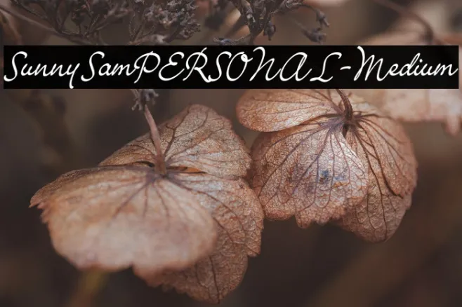 SunnySamPERSONAL-Medium Example 1