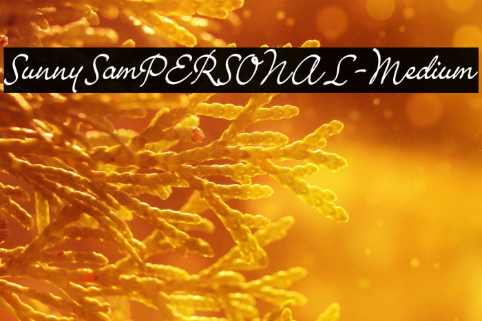 SunnySamPERSONAL-Medium Example 3