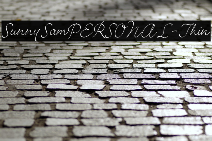 SunnySamPERSONAL-Thin Example 1