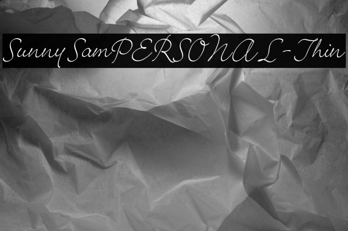 SunnySamPERSONAL-Thin Example 2