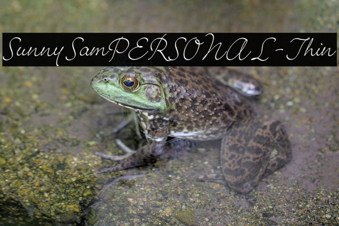 SunnySamPERSONAL-Thin Example 3