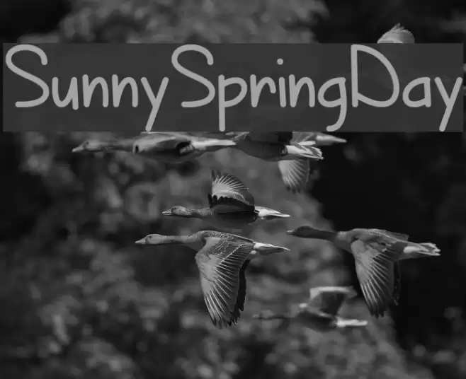 SunnySpringDay Font examples