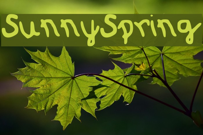 SunnySpring Font examples