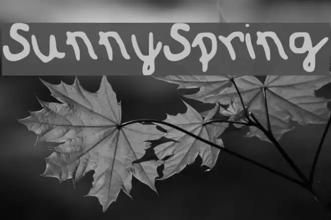 SunnySpring Font examples