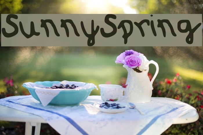 SunnySpring Font examples